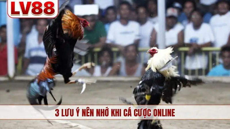 3 lưu ý nên nhớ khi cá cược online