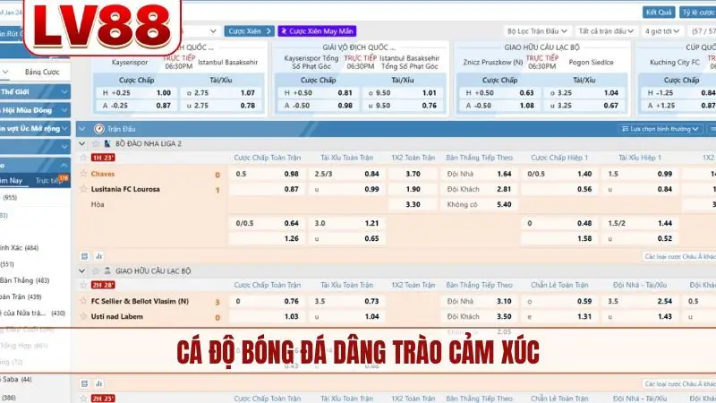 Cá độ bóng đá dâng trào cảm xúc