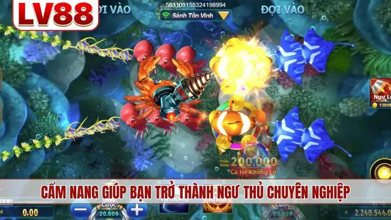 Cẩm nang giúp bạn trở thành ngư thủ chuyên nghiệp