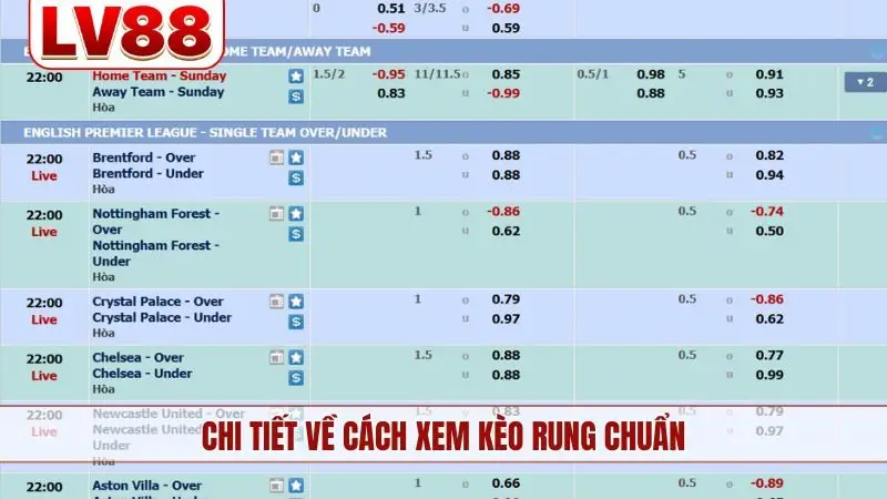 Chi tiết về cách xem kèo rung chuẩn