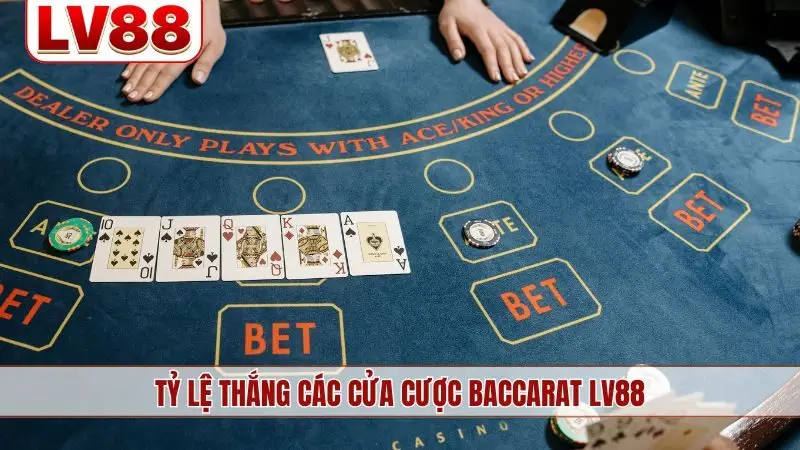 Tỷ lệ thắng các cửa cược Baccarat LV88